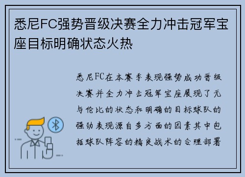 悉尼FC强势晋级决赛全力冲击冠军宝座目标明确状态火热