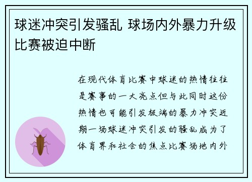 球迷冲突引发骚乱 球场内外暴力升级比赛被迫中断